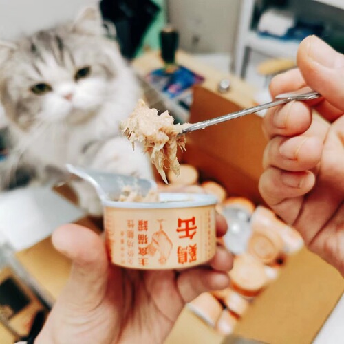 Neku Cat Food for Kittens - Hyaluronic Acid Main Meal in Cans - 6 Pack - Cat Beauty & Hydration Food - Not Snack Cans