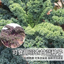 ¸{Nӿʳÿ^pѾ~mN̨N߲˷N