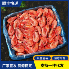 新鲜冷冻头籽甜虾礼盒熟冻北极甜虾即食大号甜虾刺身海鲜水产批发