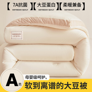 Class a Maternal and Infant-Grade Soybean Fiber Quilt, Spring and Autumn Quilt Core, Two-In-One Quilt, Thickened Cotton Quilt, Gift Quilt, Winter
