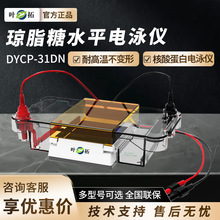 上海叶拓 DYCP-31DN 荧光标尺凝胶托盘蛋白电泳仪