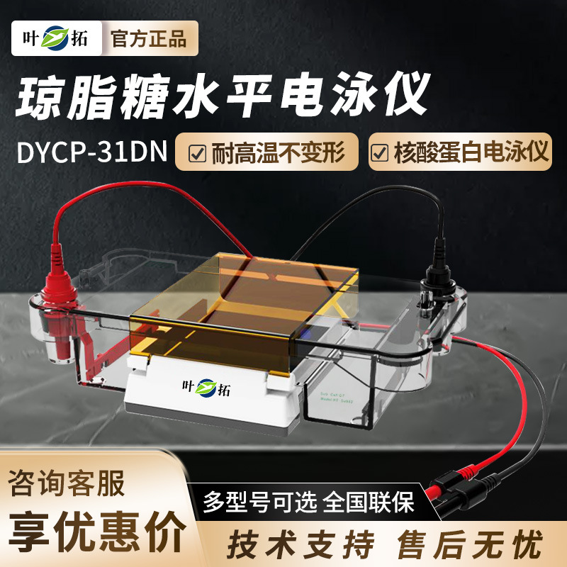 上海叶拓 DYCP-31DN 荧光标尺凝胶托盘蛋白电泳仪