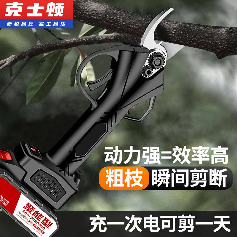 微信图片_20250211110151