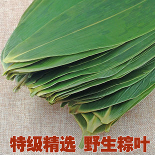 Large Bamboo Leaves for Wrapping Rice Dumplings, Fresh and Natural Dried Bamboo Leaves, Free Shipping