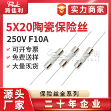 5x20mm陶瓷保险管250V F10A带引线脚 电源保护熔断器 防爆保险丝