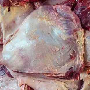 �uţ��ţĘ��ţ��Ęţ��Ę������ţ��ţ����ţ��������؛���l