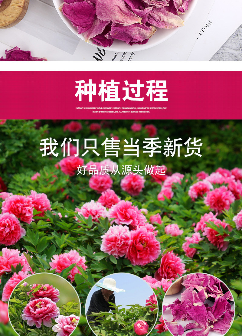 Peony Petals (Paeonia suffruticosa) — Dried Flower Tea, 500g Bulk Loose Petals in use