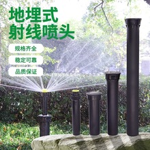 ����ʽ��s�Ԅ��������^�����Bɢ���侀�������D���{��ƺ�G���@��