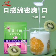 川秀双歧杆菌酸奶发酵粉 乳酸菌酸奶发酵剂 5菌酸奶菌粉丹麦菌种