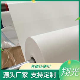 养殖清粪带 pp输送带 单层笼养殖粪带安装使用图片