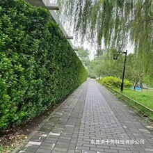 �����������S�����ͥԺֲ���ͺ��ļ�����G����ľ���ڻh����
