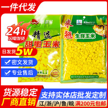 西部风米翘生鲜玉米甜嫩玉米青草鲤鳊鱼翘嘴野钓鱼饵VB玉米打窝料
