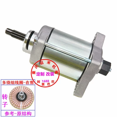 Motor, Starter and accessories