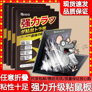 �M���zˮ����ճ����ճ����zճ�������N������������һ�C������