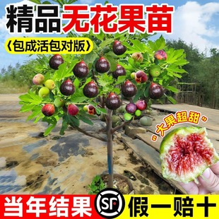 �o��������玧�����԰��������t�ش�������ļ��ɷN�Ϸ������ͺ�