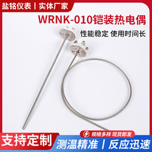 WRNK-010简易式测温棒可弯曲铠装热电偶芯K型装配式温度传感器