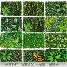 ����ֲ����������m�ݾG��ֲ��ȼ������ϲ�ƺ���T�^��