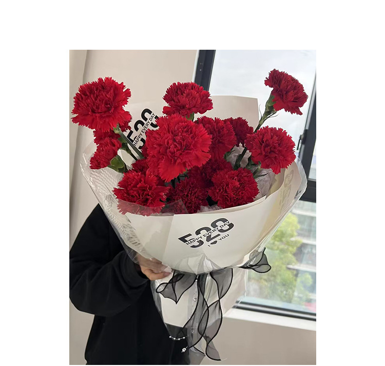 O1CN01G95PVi1FkUllHaPQ0_!!3316080525-0-cib.jpg?__r__=1682244915235