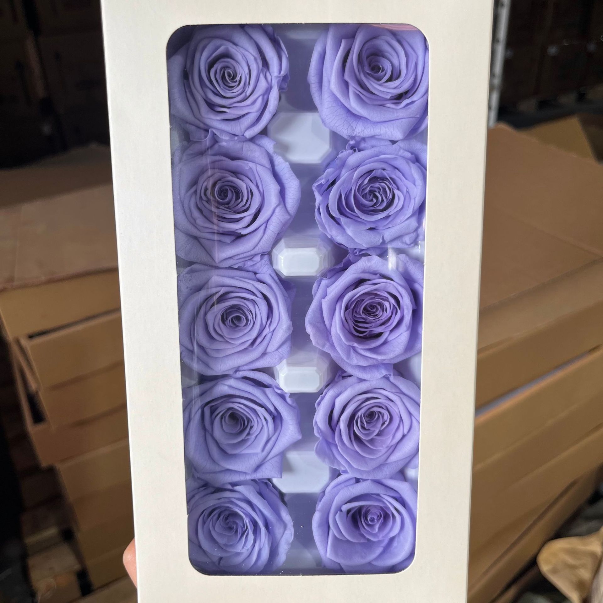 Rosa Preservada B+ de 3-4 cm, Ramo de Flores Reales para DIY, Fabricante de Yunnan, Venta al por Mayor, Material Floral para el Día de San Valentín, Flores Secas 520