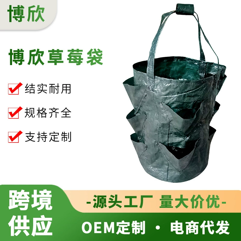 3 галлона PE висячий клубничный мешок висячий цветочный завод подвесная корзина для роста цветов воздушный садоводческий мешок для посадки