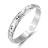 Z131 (Silver Silver)