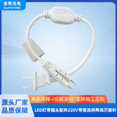 LED ライトストリッププラグアクセサリー 220V 整流器ブリッジ 2 線式防水ユニバーサルピンプラグ防水と高精度