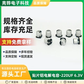 铝电解电容器