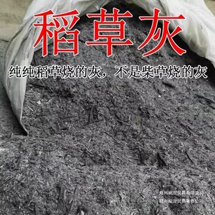 ���ڲ�ľ�ҷN���õĻ����Ͼ²ˌ���⛷���x���ݻ��B��ͨ�õ���̿