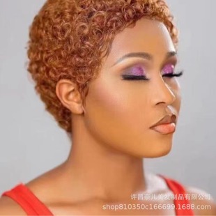 Real human hair mechanism African curly full head cover explosion head female short hair short curly hair temperament microwave full top wig