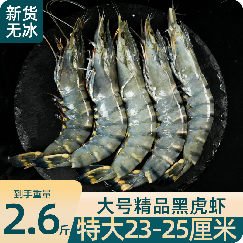 新鲜黑虎虾超大大虾老虎虾鲜活虎虾基围虾特大速冻海鲜斑竹九节虾
