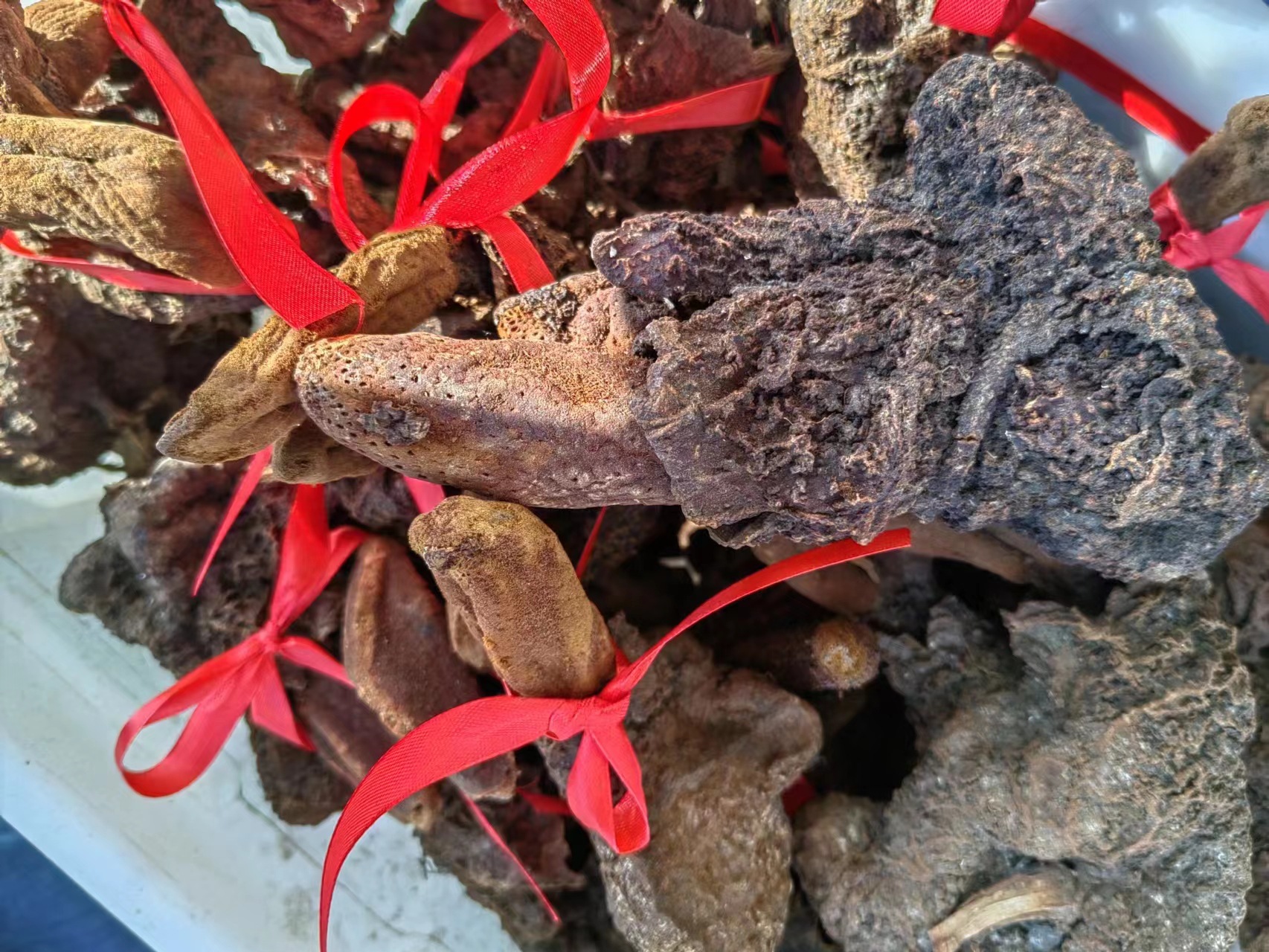 Xu Yang Cao (Ding Tian Zhu / Hui Chun Cao) — Dried Food Herb for Wine & Tea Infusion key features