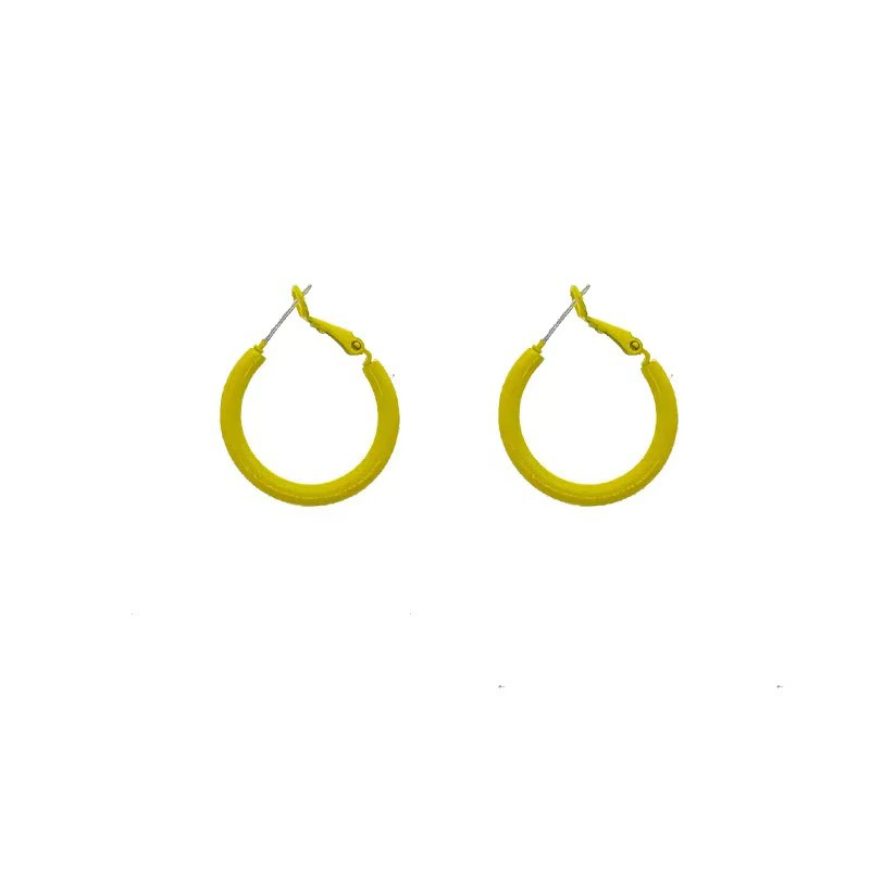 Brand earrings, silver 925 sample, simple and elegant design