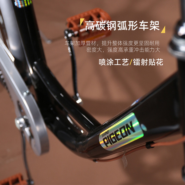 Bike for adults for men and women for students for elderly