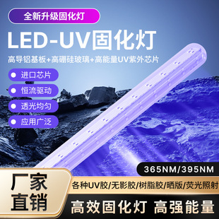 E27 Multi-Faceted High Borosilicate Glass Purple Light Insect Trap Lamp Solar 12V Dual Wave 365+395Nm Suitable for Mosquitoes