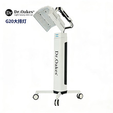 G20���ş���ʽ���V�xPDT��������݃x�������w�x����Ժ�ÿ羳���Q