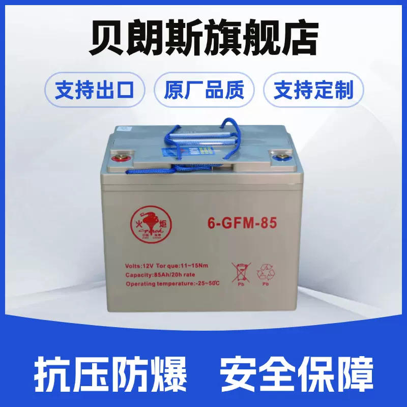 Torch/火炬蓄电池6-GFM-85 12V85Ah 免维护动力电池批发 全国联保