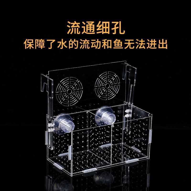 鱼缸隔离盒透明亚克力孵化孔雀鱼繁殖迷你鹦鹉小鱼苗箱子|undefined