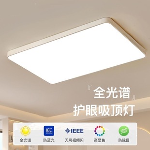 Living room light full spectrum big size hall light led ceiling light simple modern round bedroom light wholesale