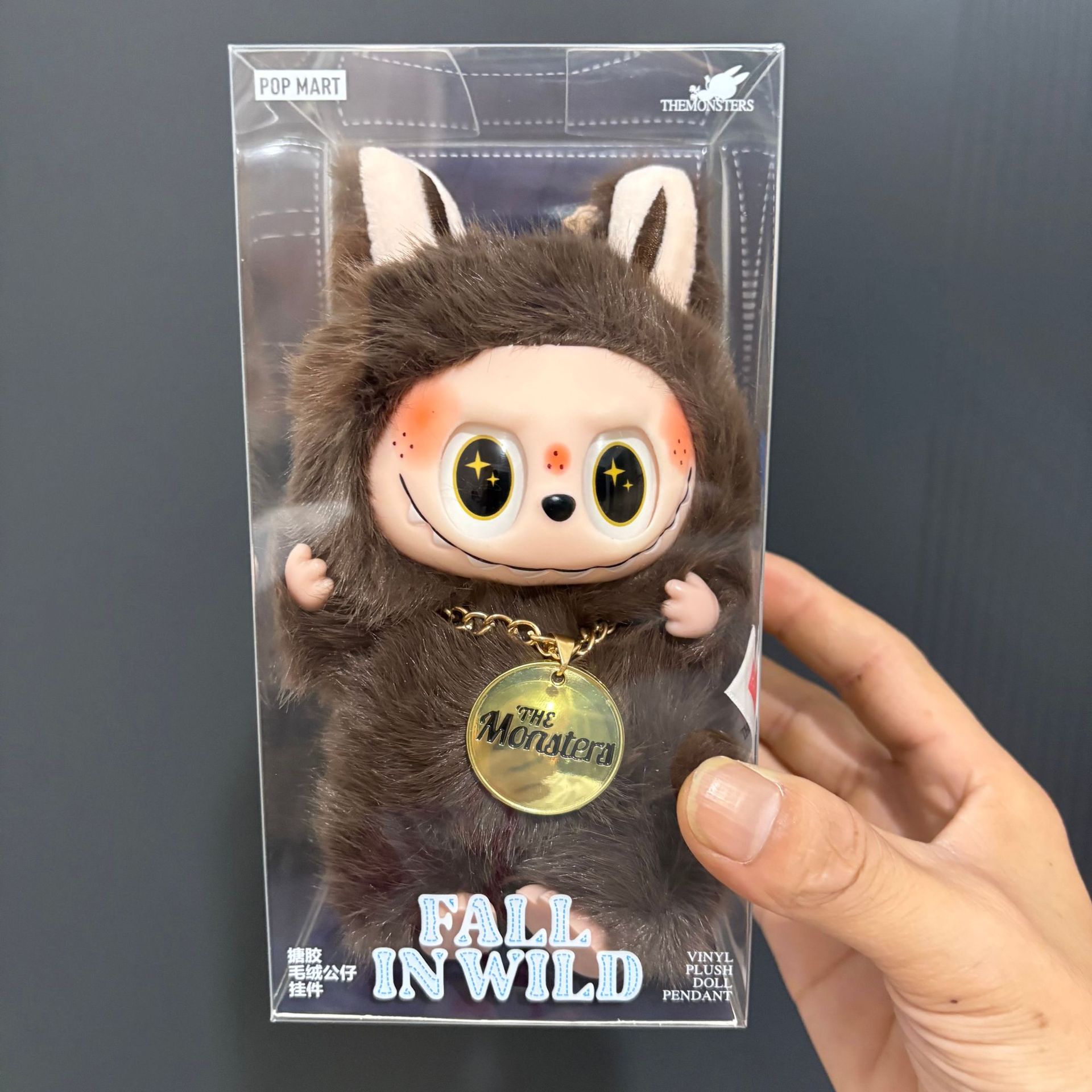 작은 갈색 리더