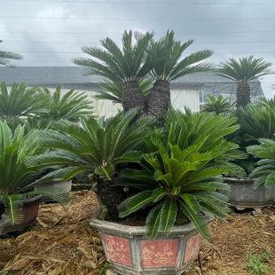 �㽭�ΗU�F��a�����l ���϶��^�F���辰���l �V�|�F�����ԃr��