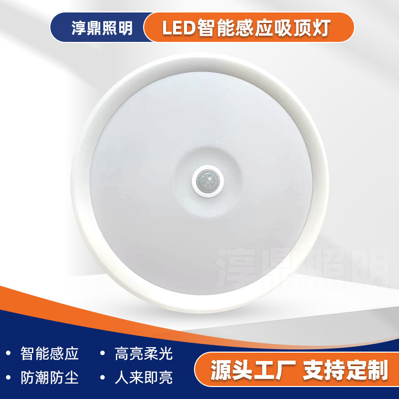 led induction ceiling lamp voice control lamp corridor radar corridor balcony lamp ultra-thin anti-mosquito infrared induction lamp led induction ceiling lamp voice control lamp corridor radar corridor balcony lamp ultra-thin anti-mosquito infrared induction lamp