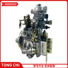 VE�� 4988565 ��춿���˹6BT���͙Cȼ�ͱ�4988565