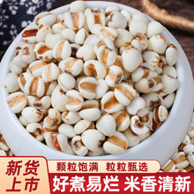 ޲������؛�r�����r�s�Z����b޲������t���ඹ����s�Z�ּZ����