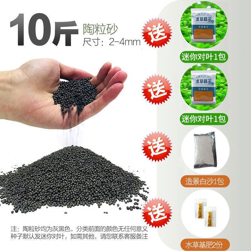 嘘援娉ユ壒鍙戙€愪笉舞枃丸瀀耣ャ€戦櫠绮掔戞枸shoulder a few搴琴爞更曟曟曘昘棌绠 argue