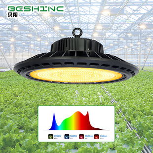 ֲaufoȫV羳ˮݮѶ̫ꖹֲL