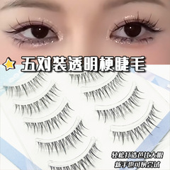 詩諾媚L35自然款太陽花整條仿真日常一片式仙子漫畫透明梗假睫毛