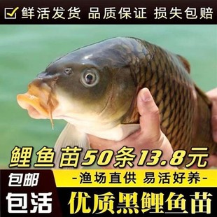 �������ڽ����~�tβ�d�����~�絭ˮ�Bֳ�S�����~�Ĵ���~