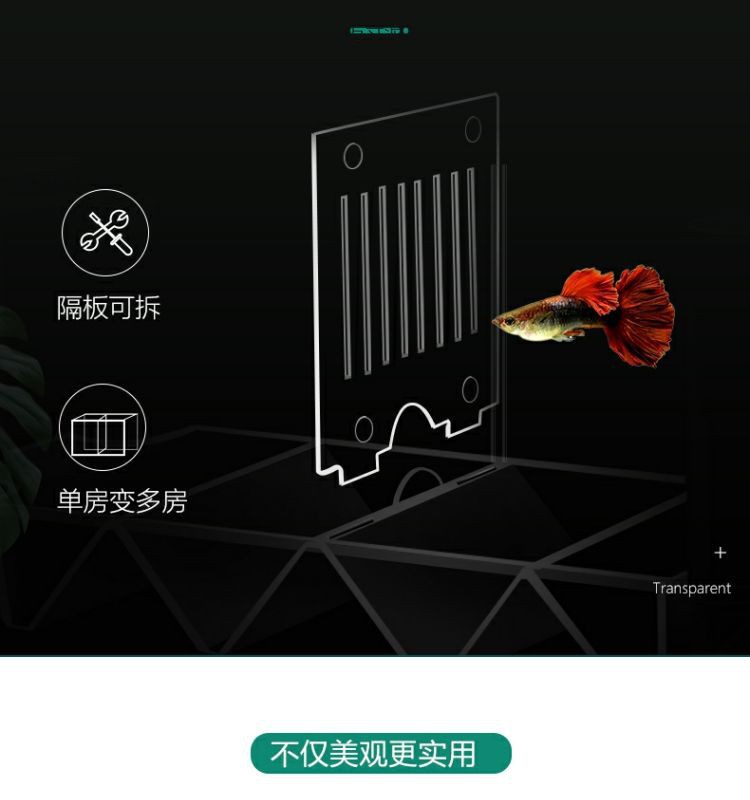 099660e9-76af-4345-9bc7-ec3d9417de74.jpe