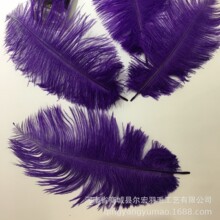 �S�����l��Bë��ɫ�F؛����Ӳ�U20-25CM �W�t��ë�� ������