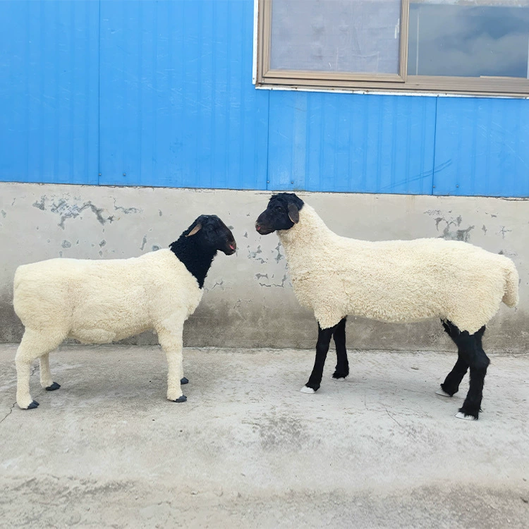 Моделирование животных большая модель овец имитационная модель козы овечья шерсть моделирование животных большие украшения для животных